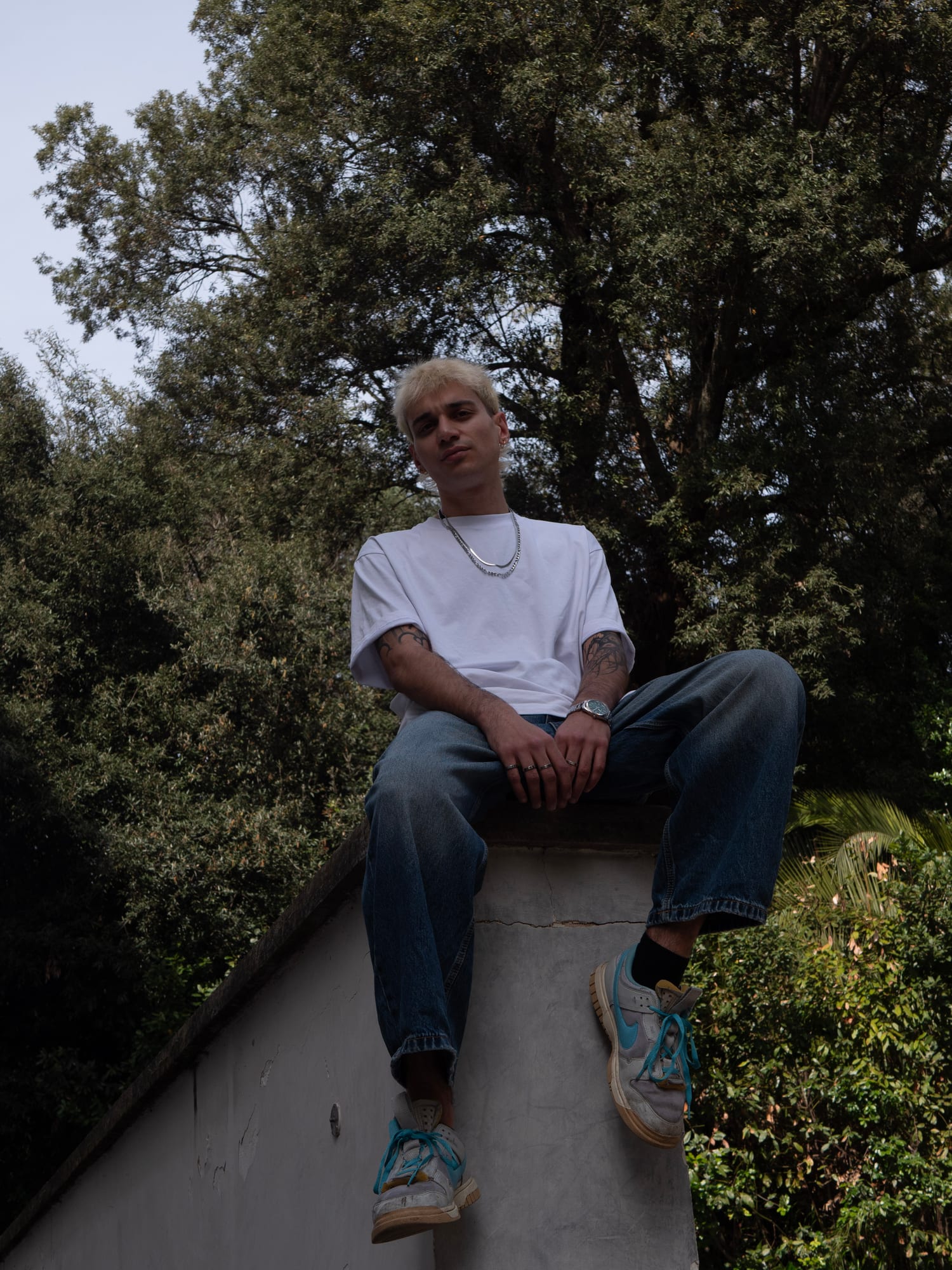 Salar seated on a rooftop ledge, legs crossed, trees rising behind him.